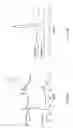 Fig. 48 - Surface modified layered double hydroxide