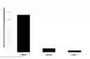 Fig. 01 - Polyurethane-based binder dispersion