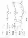 Fig. 33 - Sorbitol, glucaric acid, and gluconic acid based flame-retardants