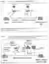 Fig. 02 - Process of expanding T cells