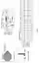 Fig. 22 - Identification of factor that promotes human HSC self-renewal