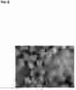 Fig. 09 - Methods of producing and characterizing virus vaccine and virus vaccine composition