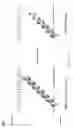 Fig. 04 - INCREASING PRODUCTIVITY OF MICROBIAL HOST CELLS THAT FUNCTIONALLY EXPRESS P450 ENZYMES