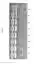 Fig. 07 - High Throughput Reaction Assembly