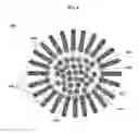 Fig. 07 - SINGLE CELL ANALYSIS OF TRANSPOSASE ACCESSIBLE CHROMATIN