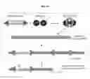 Fig. 28 - SINGLE CELL ANALYSIS OF TRANSPOSASE ACCESSIBLE CHROMATIN
