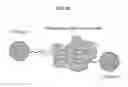 Fig. 31 - SINGLE CELL ANALYSIS OF TRANSPOSASE ACCESSIBLE CHROMATIN