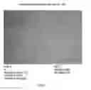 Fig. 02 - Nanoparticles comprising protein-polynucleotide complexes and for delivering protein based complexes