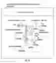 Fig. 33 - Nanoparticles comprising protein-polynucleotide complexes and for delivering protein based complexes