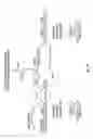 Fig. 35 - Nanoparticles comprising protein-polynucleotide complexes and for delivering protein based complexes