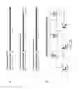 Fig. 49 - Genomic engineering of pluripotent cells