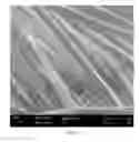 Fig. 02 - Process for producing fibrous material with antimicrobial properties