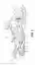 Fig. 02 - Internal combustion engine having two fuel injectors per cylinder and control method therefor