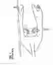 Fig. 02 - Combustor assembly with structural cowl and decoupled chamber