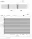 Fig. 03 - Assay reader operable to scan a test strip