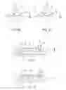 Fig. 03 - TRANSPARENT BUTTON FOR CAPACITIVE TOUCH SCREEN