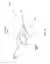 Fig. 34 - OBJECT SHADOWING IN HEAD WORN COMPUTING