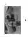 Fig. 05 - Methods and apparatus for identifying objects depicted in a video using extracted video frames in combination with a reverse image search engine