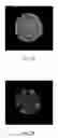 Fig. 09 - Discriminative imaging technique in scanning transmission charged particle microscopy