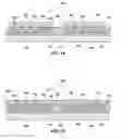 Fig. 09 - Semiconductor device packages and structures