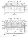 Fig. 07 - Integration of graphene and boron nitride hetero-structure device