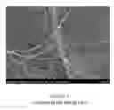 Fig. 02 - Thin, high density nonwoven separators for energy storage devices