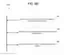 Fig. 12 - Distributed ledger for generating and verifying random sequence