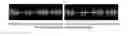 Fig. 03 - FAKEOUT© Software System - An electronic apostille-based real time content authentication technique for text, audio and video transmissions