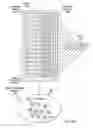 Fig. 03 - Adjustable bit mask for high-speed native load balancing on a switch