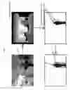Fig. 02 - PEDESTRIAN TRACKING USING DEPTH SENSOR NETWORK