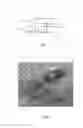 Fig. 02 - Safety system for mowers and mower therwith