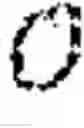 Fig. 02 - Crop biometrics detection