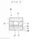 Fig. 06 - Vascular sap measurement sensor and method of manufacturing vascular sap measurement sensor