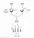 Fig. 08 - Disease biomarkers and treatment methods related thereto