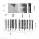 Fig. 20 - Disease biomarkers and treatment methods related thereto