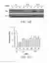 Fig. 32 - Disease biomarkers and treatment methods related thereto