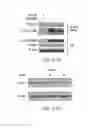 Fig. 44 - Disease biomarkers and treatment methods related thereto