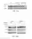 Fig. 65 - Disease biomarkers and treatment methods related thereto