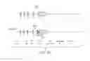 Fig. 77 - Disease biomarkers and treatment methods related thereto