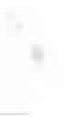 Fig. 02 - Bird deterring structure and method