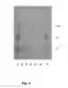 Fig. 07 - Methods for isolating compounds