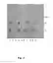 Fig. 08 - Methods for isolating compounds