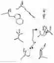 Fig. 07 - COMPOUNDS THAT MODULATE CALCIUM-SENSING RECEPTOR ACTIVITY FOR MODULATING KOKUMI TASTE AND PET FOOD PRODUCTS CONTAINING THE SAME