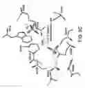 Fig. 09 - COMPOUNDS THAT MODULATE CALCIUM-SENSING RECEPTOR ACTIVITY FOR MODULATING KOKUMI TASTE AND PET FOOD PRODUCTS CONTAINING THE SAME