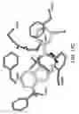 Fig. 33 - COMPOUNDS THAT MODULATE CALCIUM-SENSING RECEPTOR ACTIVITY FOR MODULATING KOKUMI TASTE AND PET FOOD PRODUCTS CONTAINING THE SAME