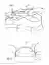 Fig. 02 - Shoe Having Elastic Tongue-Securing Straps