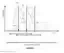 Fig. 05 - System and methods for assessing presence of large vessel occlusion to aid in transfer decision-making for endovascular treatment in patients with acute ischemic stroke