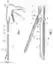 Fig. 02 - Staple cartridges for forming staples having differing formed staple heights