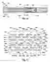 Fig. 09 - Staple cartridges for forming staples having differing formed staple heights
