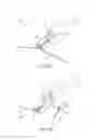 Fig. 07 - Tissue ligation devices and methods therefor